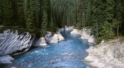 Thumbnail Image 1